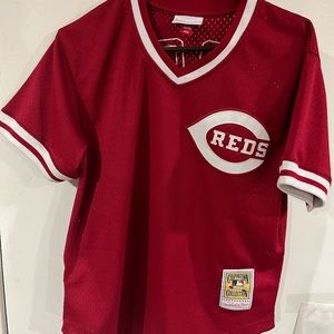 Mitchell and Ness Mens Cooperstown Collection Red Size 40 (m) Rose Jersey 14
